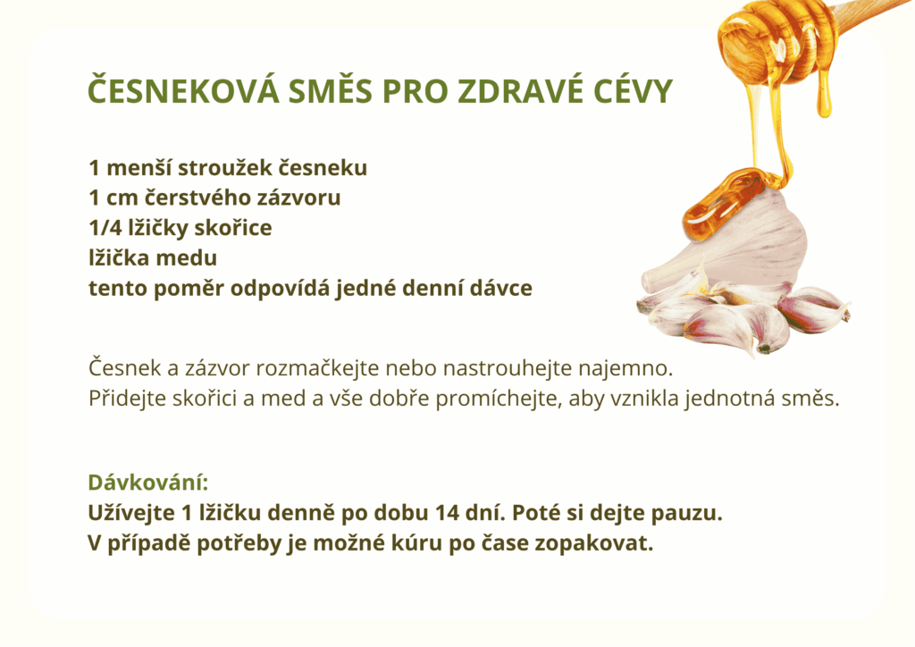 Česneková směs pro zdravé cévy se zázvorem, skořicí a medem