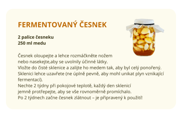 Fermentovaný česnek v medu – přírodní recept na podporu imunity při nachlazení.